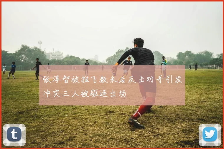 张淳智被推飞数米后反击对手引发冲突三人被驱逐出场